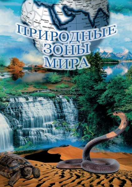 Учебный фильм. Природные зоны мира (МР4) 216021704МР Учебный фильм. Природные зоны мира (МР4) 216021704МР