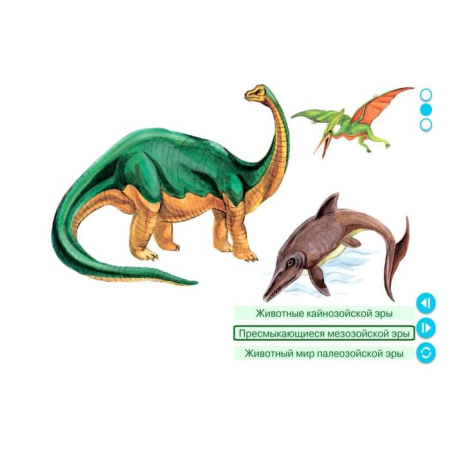 Эволюционное учение. Интерактивное учебное пособие (v.5.0) (BOX. Наглядная Биология) 464-0008177173