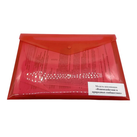 Модель-аппликация Взаимодействие в природных сообществах