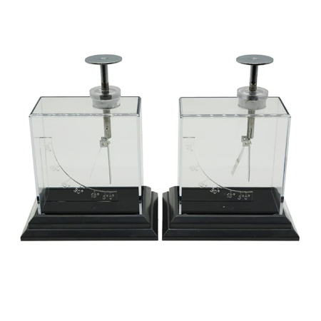 Электроскоп демонстрационный (пара) Электроскоп демонстрационный (пара)