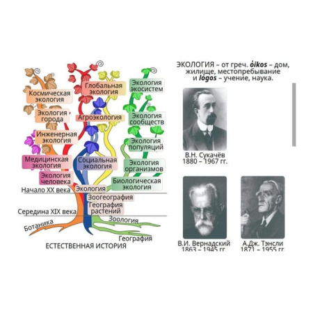 Введение в экологию. Интерактивное учебное пособие (v.5.0) (BOX. Наглядная Биология) 464-0008177357