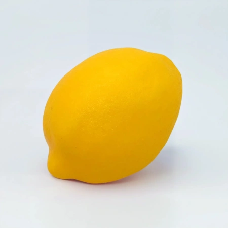 Набор муляжей «Фрукты, плоды и ягоды» (13 шт)