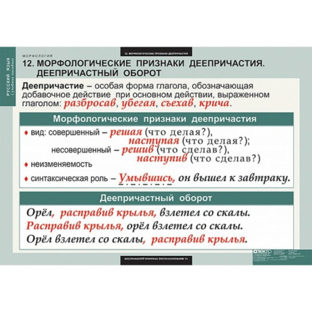 Морфология (Комплект таблиц 15 шт. Русский язык) 5-8681-015 Морфология (Комплект таблиц 15 шт. Русский язык) 5-8681-015