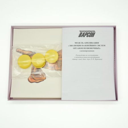 Модель-аппликация Эволюция систем органов позвоночных животных