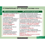 Русский язык (Комплект таблиц 19 шт. 10 кл.) 5-8661-019 Русский язык (Комплект таблиц 19 шт. 10 кл.) 5-8661-019