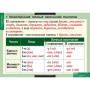 Русский язык (Комплект таблиц 19 шт. 10 кл.) 5-8661-019 Русский язык (Комплект таблиц 19 шт. 10 кл.) 5-8661-019
