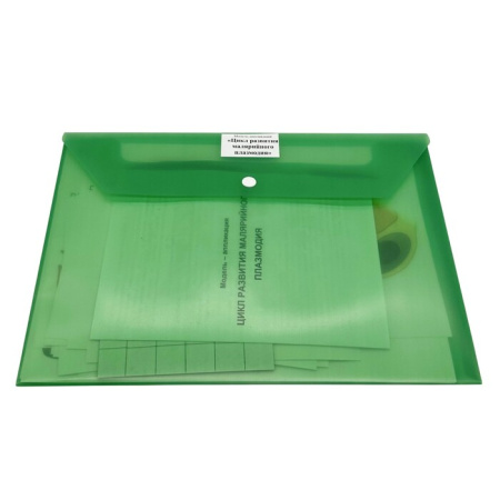 Модель-аппликация Цикл развития малярийного плазмодия