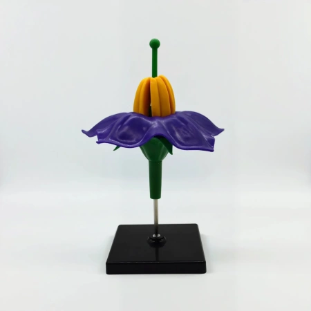 Модель «Цветок картофеля», фиолетовый