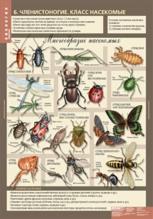 Животные (Комплект таблиц 12 шт. Биология 7 кл.) 5-8537-012