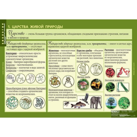 Общее знакомство с цветковыми растениями (Комплект таблиц 6 шт. Биология) 2-072-627