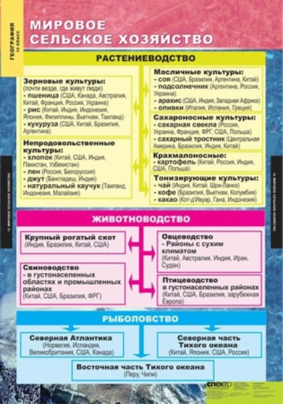 Экономическая и социальная география мира (Комплект таблиц 12 шт. География 10 кл.) 5-8576-012