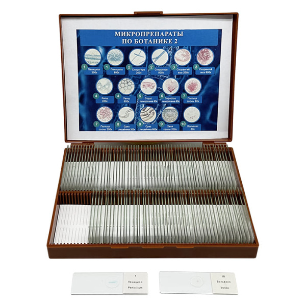 Комплект микропрепаратов по ботанике 2 (натуральный объект)