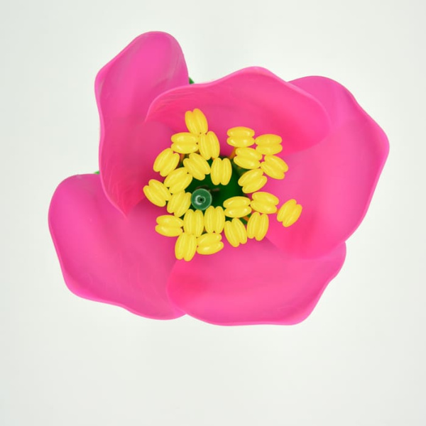 Модель «Цветок персика» Модель «Цветок персика»