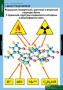 Белки и нуклеиновые кислоты (Комплект таблиц 8 шт. Химия) 2-080-490