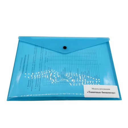 Модель-аппликация Типичные биоценозы