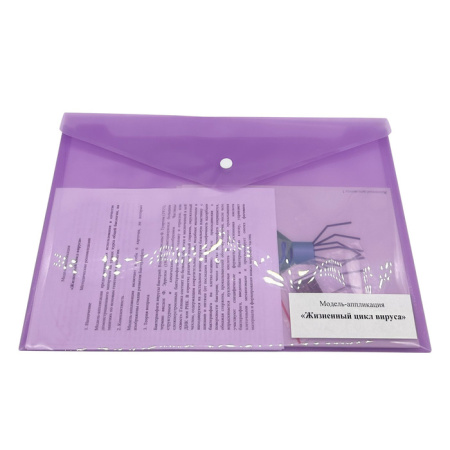 Модель-аппликация Жизненный цикл вируса Модель-аппликация Жизненный цикл вируса