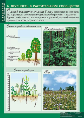 Растения и окружающая среда (Комплект таблиц 7 шт. Биология) 2-072-637 Растения и окружающая среда (Комплект таблиц 7 шт. Биология) 2-072-637