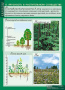 Растения и окружающая среда (Комплект таблиц 7 шт. Биология) 2-072-637 Растения и окружающая среда (Комплект таблиц 7 шт. Биология) 2-072-637