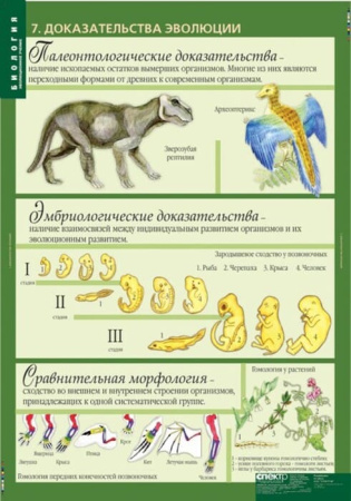 Эволюционное учение (Комплект таблиц 10 шт. Биология 10-11 кл.) 5-8702-010 Эволюционное учение (Комплект таблиц 10 шт. Биология 10-11 кл.) 5-8702-010