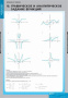 Функции и графики (Комплект таблиц 10 шт. Математика) 4-8475-010