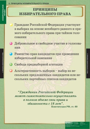 Избирательное право (Комплект таблиц 10 шт. История) 5-8695-010