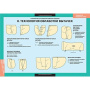 Технология обработки ткани. Технология изготовления швейных изделий (Комплект таблиц. Технология)