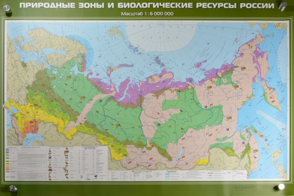 Природные зоны и биологические ресурсы России, 100x140 см (Карта. География 8-9 кл.) КН-0805 Природные зоны и биологические ресурсы России, 100x140 см (Карта. География 8-9 кл.) КН-0805