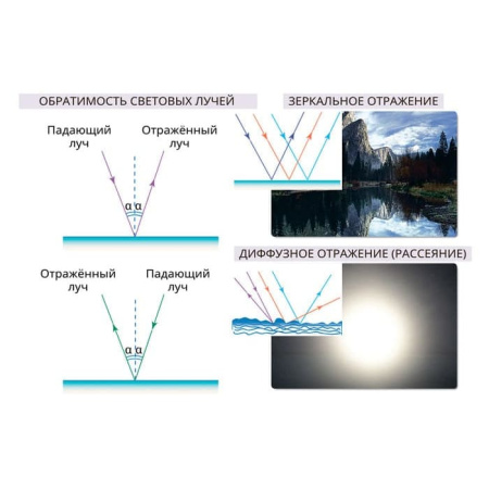 Геометрическая и волновая оптика. Интерактивное учебное пособие (v.5.0) (BOX. Наглядная Физика)