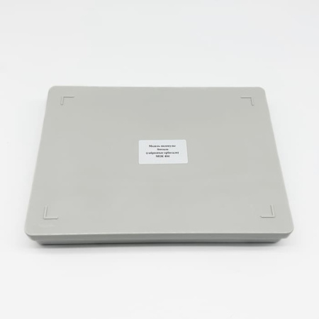 Модель «Молекула бензола» (гибридные орбитали) Модель «Молекула бензола» (гибридные орбитали)