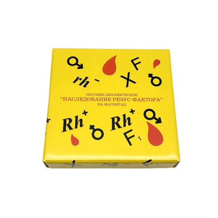 Модель-аппликация Наследование резус-фактора