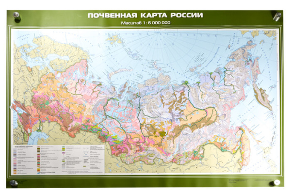 Почвенная карта России, 100x140 см (Карта. География 8-9 кл.) КН-0816 Почвенная карта России, 100x140 см (Карта. География 8-9 кл.) КН-0816