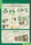 Растения. Грибы. Бактерии (Комплект таблиц 14 шт. Биология 6 кл.) 5-8504-014