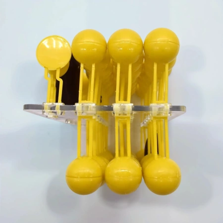 Модель «Строение клеточной оболочки», разборная