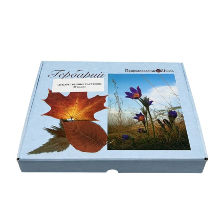 Гербарий Лекарственные растения (20 видов) Гербарий Лекарственные растения (20 видов)