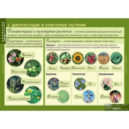 Общее знакомство с цветковыми растениями (Комплект таблиц 6 шт. Биология) 2-072-627