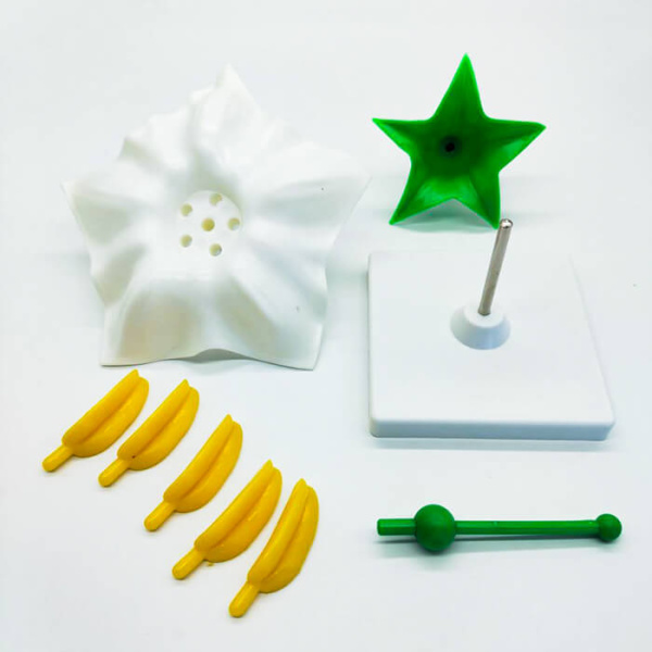 Модель «Цветок картофеля» Модель «Цветок картофеля»