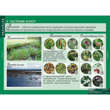 Растения и окружающая среда (Комплект таблиц 7 шт. Биология) 2-072-637 Растения и окружающая среда (Комплект таблиц 7 шт. Биология) 2-072-637