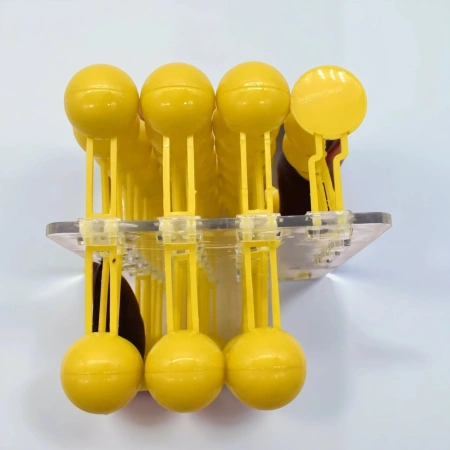 Модель «Строение клеточной оболочки», разборная