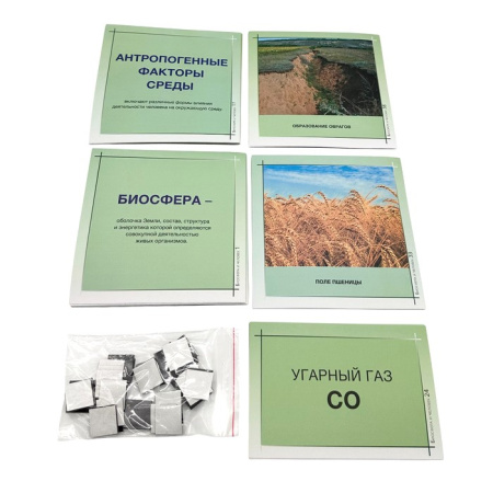 Модель-аппликация Биосфера и человек