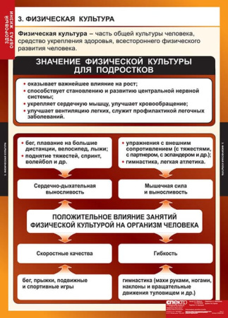 Здоровый образ жизни (Комплект таблиц 8 шт. ОБЖ) 5-8649-008