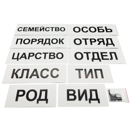 Модель-аппликация Классификация растений и животных Модель-аппликация Классификация растений и животных