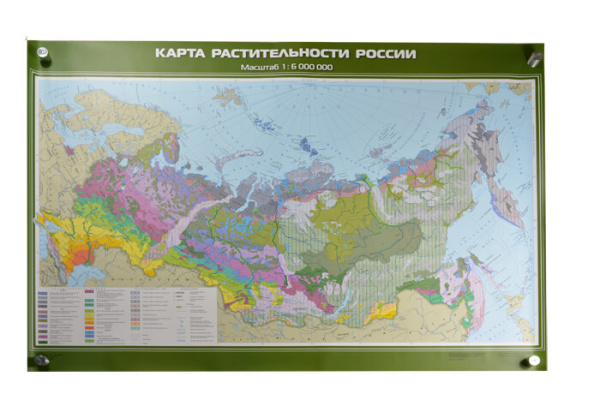 Растительность России, 100x140 см (Карта. География 8-9 кл.) КН-0806 Растительность России, 100x140 см (Карта. География 8-9 кл.) КН-0806