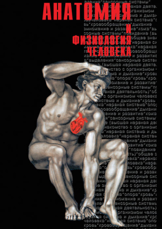 Учебный фильм. Анатомия-2 (МР4) 21600197-2МР Учебный фильм. Анатомия-2 (МР4) 21600197-2МР