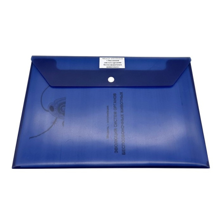 Модель-аппликация Эволюция систем органов беспозвоночных животных