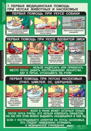 Правила оказания первой медицинской помощи (Комплект таблиц 15 шт. ОБЖ) 5-8525-011