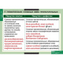 Русский язык (Комплект таблиц 19 шт. 10 кл.) 5-8661-019 Русский язык (Комплект таблиц 19 шт. 10 кл.) 5-8661-019
