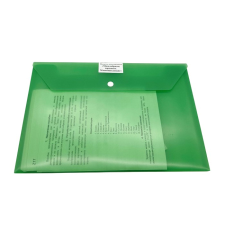 Модель-аппликация Многообразие хордовых. Млекопитающие