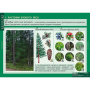 Растения и окружающая среда (Комплект таблиц 7 шт. Биология) 2-072-637 Растения и окружающая среда (Комплект таблиц 7 шт. Биология) 2-072-637