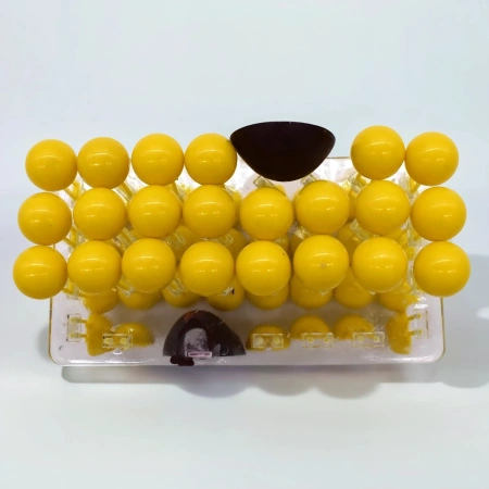 Модель «Строение клеточной оболочки», разборная