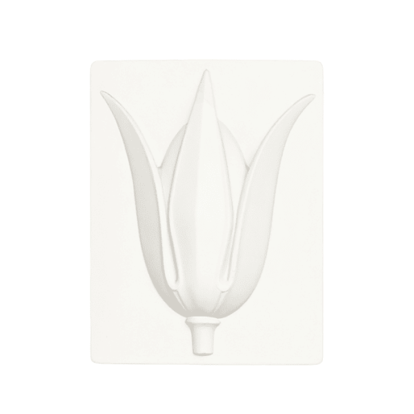 Гипсовая модель Тюльпан